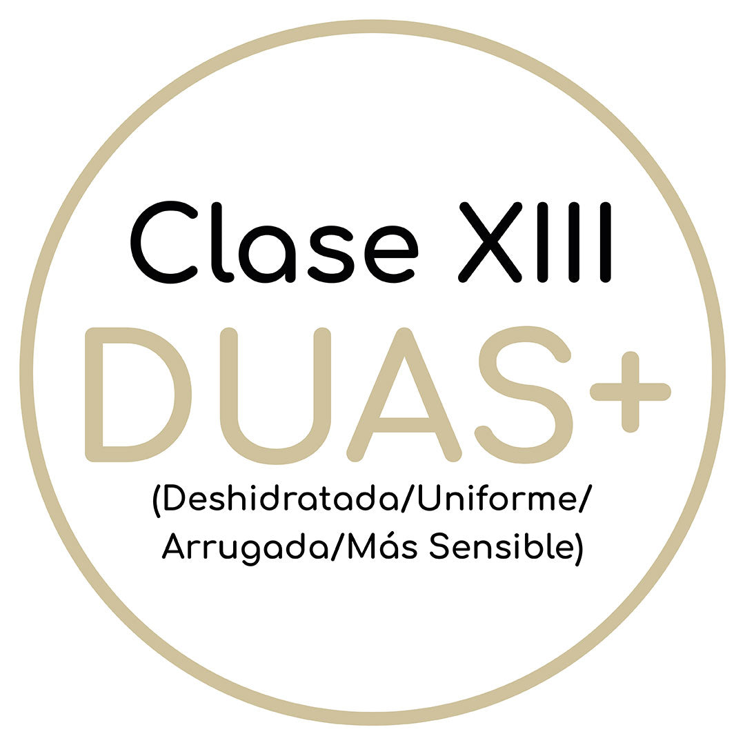 Clase XIII