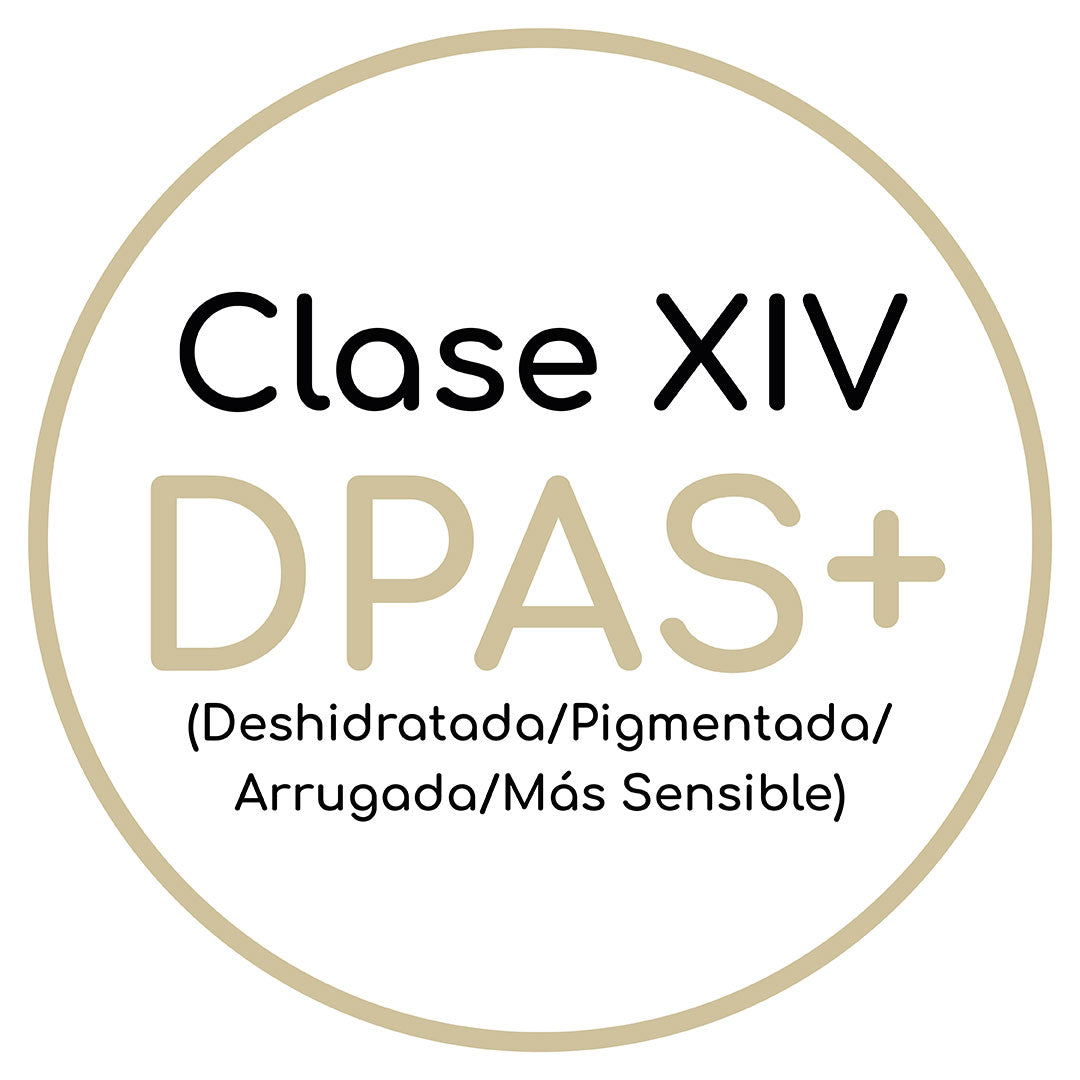 Clase XIV