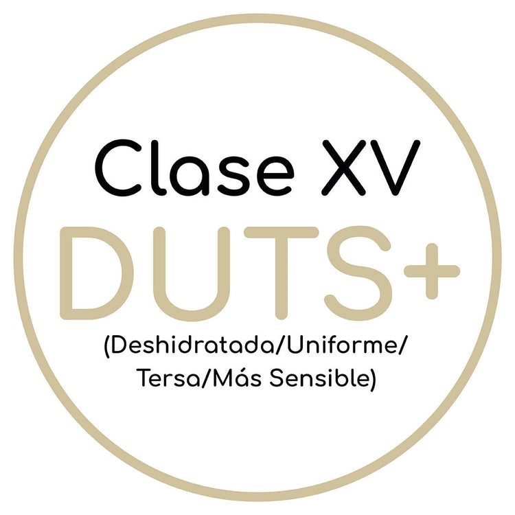 Clase XV