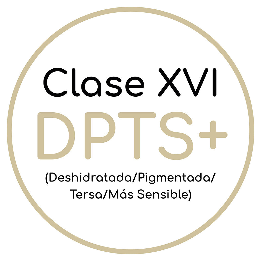 Clase XVI